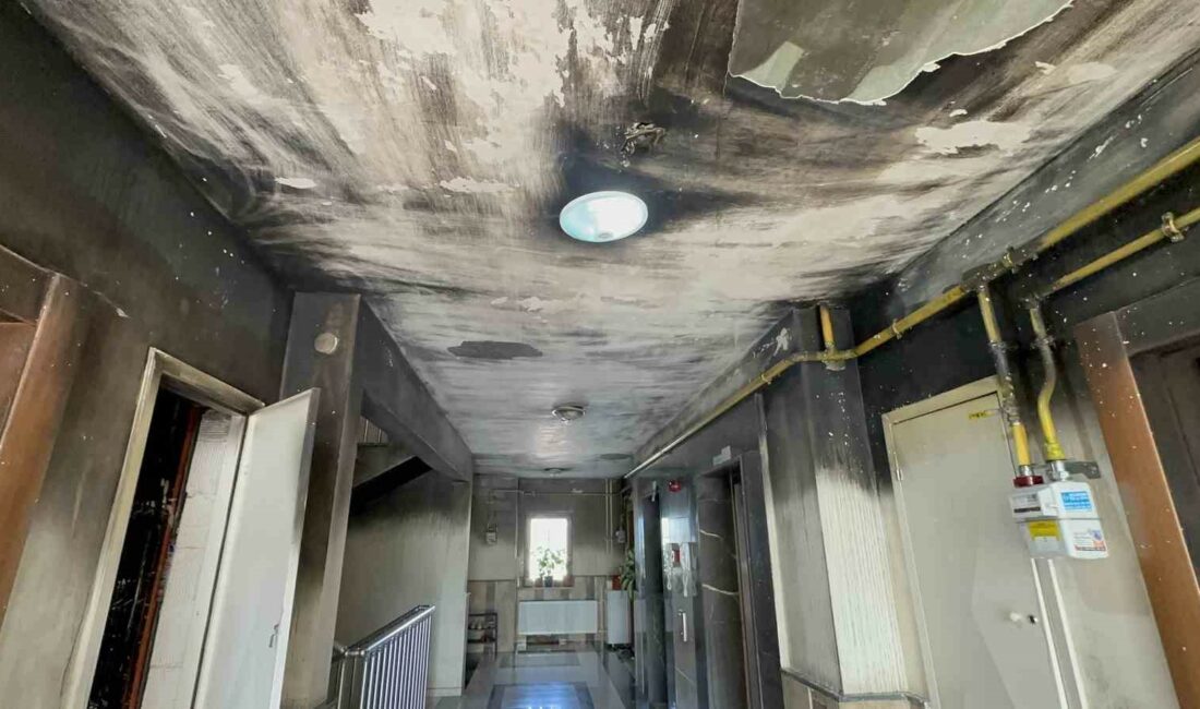 OLAY, MERKEZ NİLÜFER İLÇESİ KIZILCIKLI MAHALLESİ'NDE MEYDANA GELDİ.