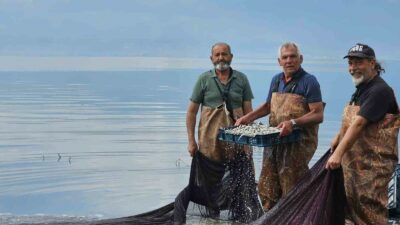 İZNİK GÖLÜ’NDE GÜMÜŞ BALIĞI SEZONU HIZLANDI. YUNANİSTAN, UKRAYNA VE AMERİKA’YA