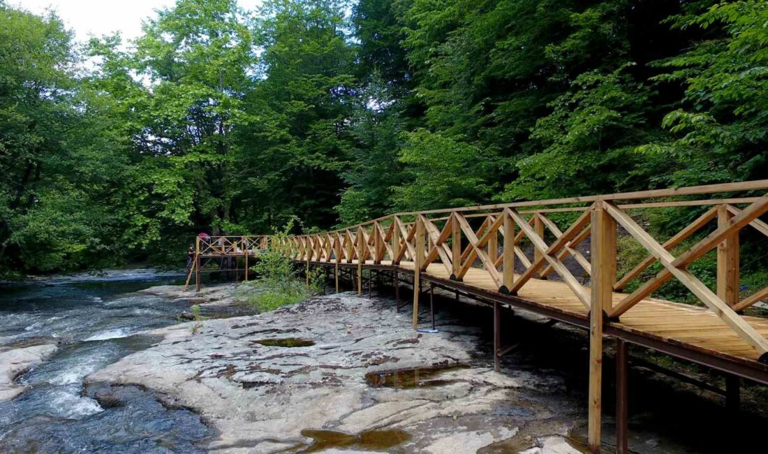 Mustafakemalpaşa’nın orman verimliğinde artış YÜZDE 52’Sİ ORMANLIK ALANLARLA KAPLI MUSTAFAKEMALPAŞA, BURSA’NIN EN VERİMLİ ORMANLIK