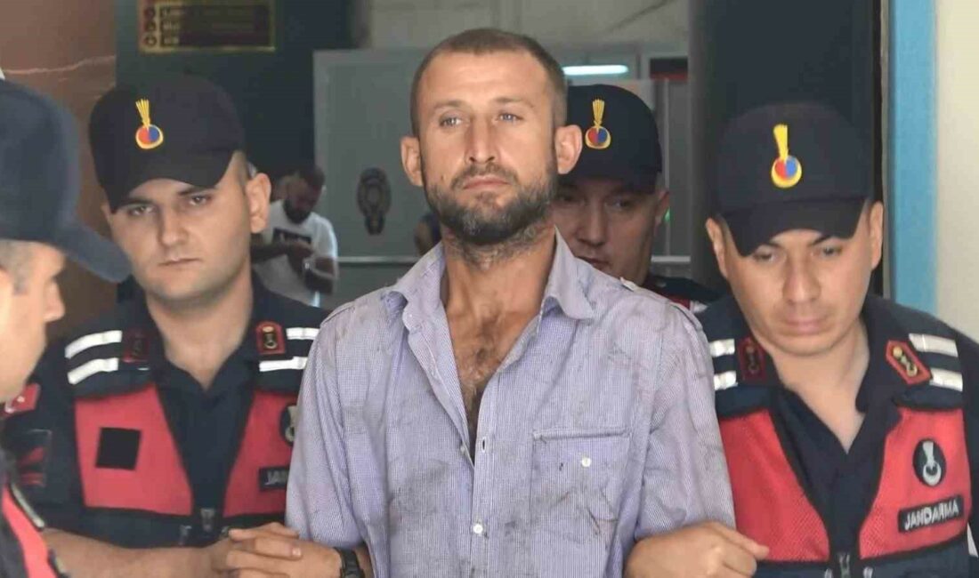 Ormanı yakıp mahkemede “Orman sevdalısıyım” diyen sanığa 8 yıl hapis BURSA'DA GÜNDOĞDU KÖYÜ'NDE ORMANI YAKTIĞI İDDİASIYLA TUTUKLANAN ALİ ÖNER'İN (35)