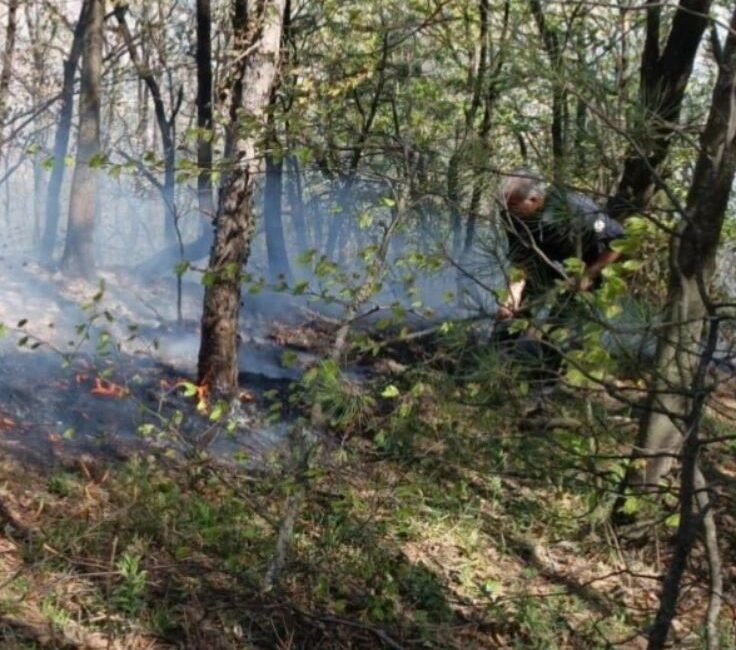 Uludağ eteklerinde çıkan yangını söndürme çalışmaları paylaşıldı BURSA’NIN ULUDAĞ ETEKLERİNDE ÇIKAN YANGININ SÖNDÜRME ÇALIŞMALARINI BURSA ORMAN BÖLGE