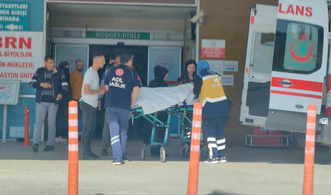 Bursa’da 7 yaşındaki çoçuğun üstünden traktör geçti Bursa’nın İnegöl ilçesinde, üzerinden traktör geçen çocuk ağır yaralandı.