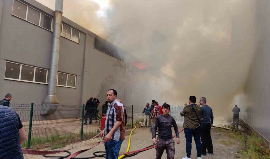 Bursa''nın İnegöl ilçesindeki bir sandalye fabrikasında yangın çıktı.