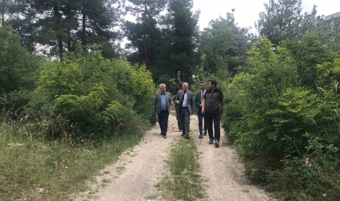 30 Ağustos Zafer Mahallesi’ne mesire alanı müjdesi BURSA’NIN YEŞİLLİK ALANLARINDAN BİRİ OLAN ‘ÇAMLIK ORMAN’INA NEŞTER VURULUYOR.