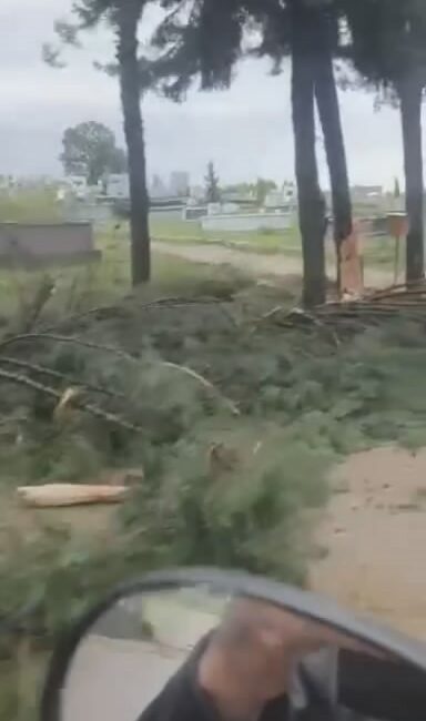 Ağaçlara yıldırım düştü, fırtına hayatı olumsuz etkiledi YILDIRIM PEŞİ SIRA AĞAÇLARA DÜŞTÜ... ŞİDDETLİ FIRTINA HAYATI OLUMSUZ ETKİLEDİ