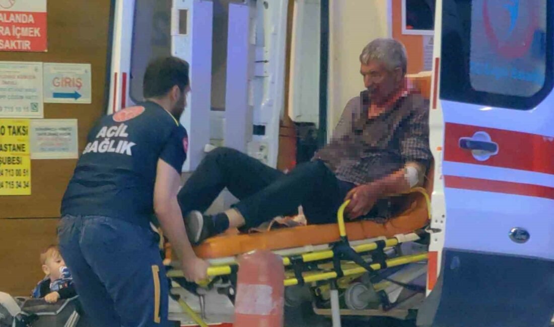 BURSA'NIN İNEGÖL İLÇESİ MAHMUDİYE MAHALLESİ'NDE ALKOL MASASINDA MEYDANA GELEN KAVGADA