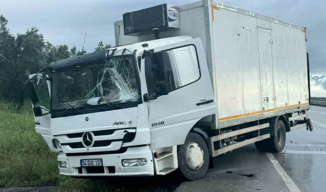 Ani fren yapan kamyona 2 araç çarptı: 1 yaralı İZNİK-YENİŞEHİR YOLUNDA ANİ FREN YAPAN KAMYONA 2 ARAÇ ÇARPTI. KAZA