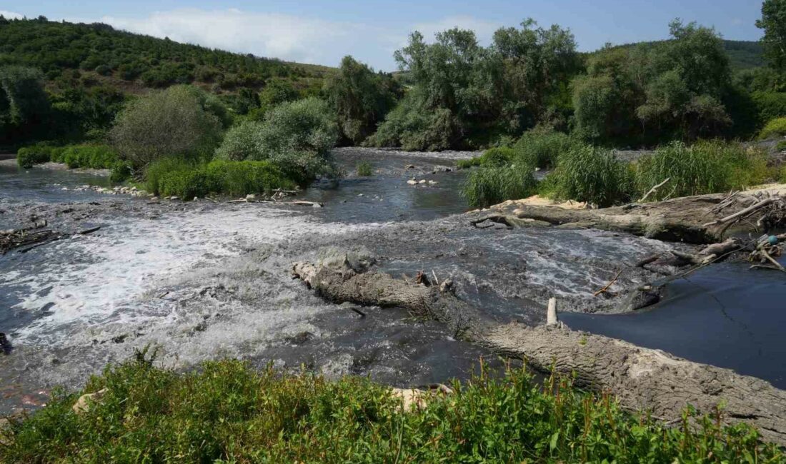 Bursa’da Nilüfer Çayı zehir saçıyor Uludağ’ın güneyinden akan ve Bursa ovasını tek başına besleyen Nilüfer