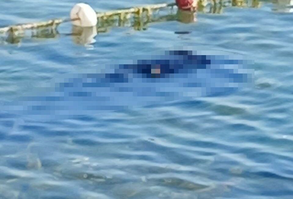 Bursa’da kayıp kişi denizde ölü bulundu Bursa’nın Mudanya ilçesinde kayıp kişi denizde ölü bulundu.