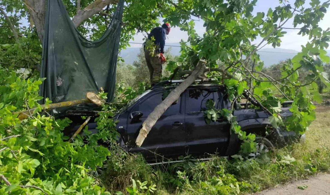 Bursa’da kontrolden çıkan kamyonet ağaca çarptı Bursa’da Orhangazi-İznik Karayolu Üreğil altı mevkiinde seyir halindeki kamyonet, kontrolden