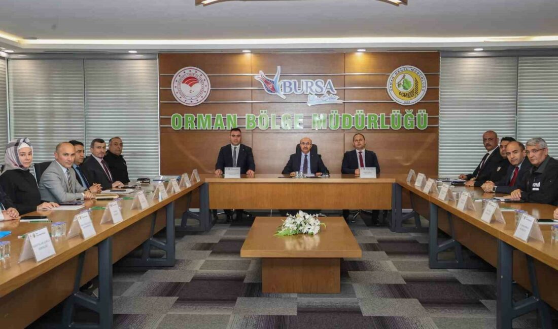 ORMAN YANGINLARIYLA MÜCADELE KOMİSYONUNDA ALINAN KARAR GEREĞİ, ORMAN ALANLARINDA ATEŞLİ