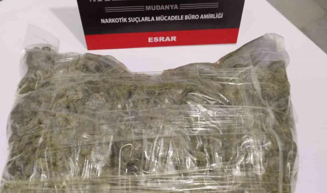 Bursa’da polislerden kaçmaya çalışan sürücünün üzerinde 824 gram esrar ele geçirildi BURSA MUDANYA EMNİYETİ NARKOTİK ŞUBE EKİPLERİ SABAHA KARŞI KAÇMAK İSTEYEN