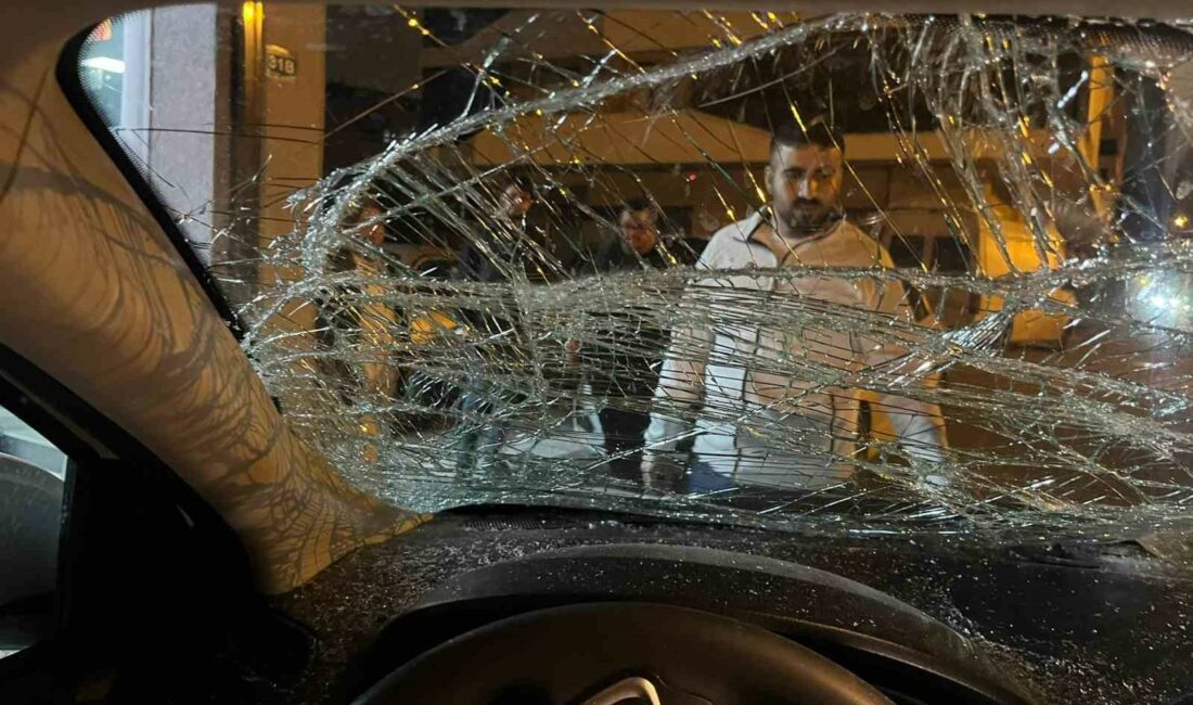 Bursa’da seyir halindeki otomobile at çarptı Bursa’nın Osmangazi ilçesinde, seyir halindeki otomobile at çarptı.