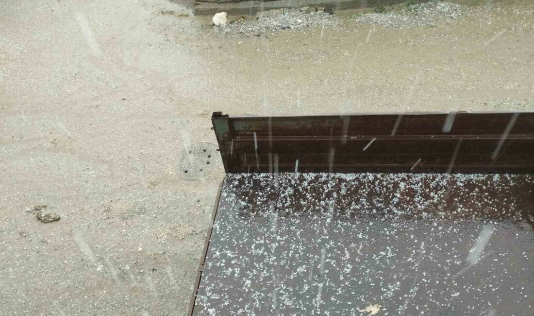 İNEGÖL KAYAPINAR MAHALLESİ'NDE ETKİLİ OLAN DOLU YAĞIŞI MEYVE VE SEBZE