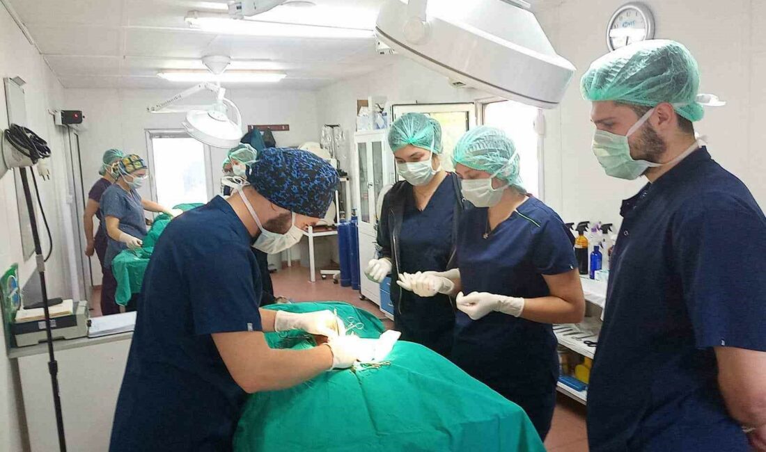 Geleceğin veteriner hekimlerine uygulamalı eğitim OSMANGAZİ BELEDİYESİ SAHİPSİZ HAYVANLAR DOĞAL YAŞAM VE TEDAVİ MERKEZİ’NDE HAYVAN