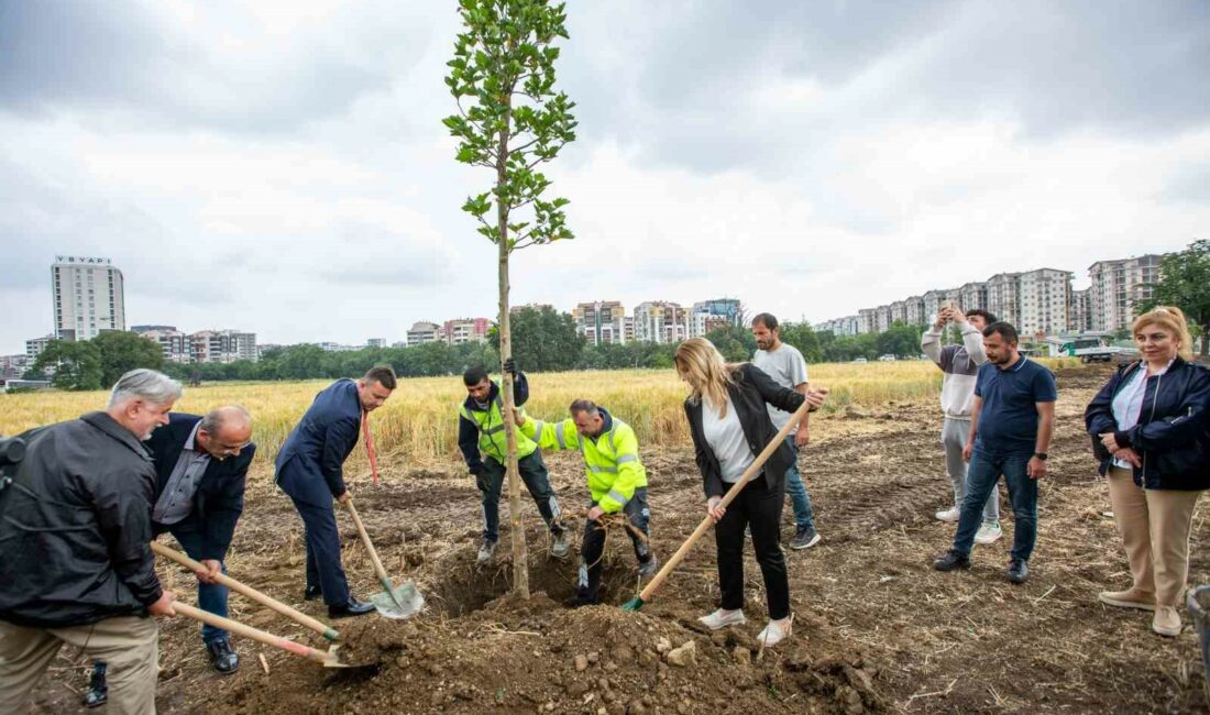 Gençlerle birlikte daha ‘Yeşil Bursa’ BURSA BÜYÜKŞEHİR BELEDİYESİ VE BURSA ULUDAĞ ÜNİVERSİTESİ İŞBİRLİĞİNDE ‘DOĞAYA DOST,