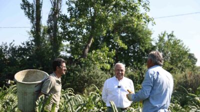 NİLÜFER BELEDİYESİ’NİN GİRİŞİMLERİYLE COĞRAFİ İŞARET TESCİLİ ALAN HASANAĞA ENGİNARINDA HASAT