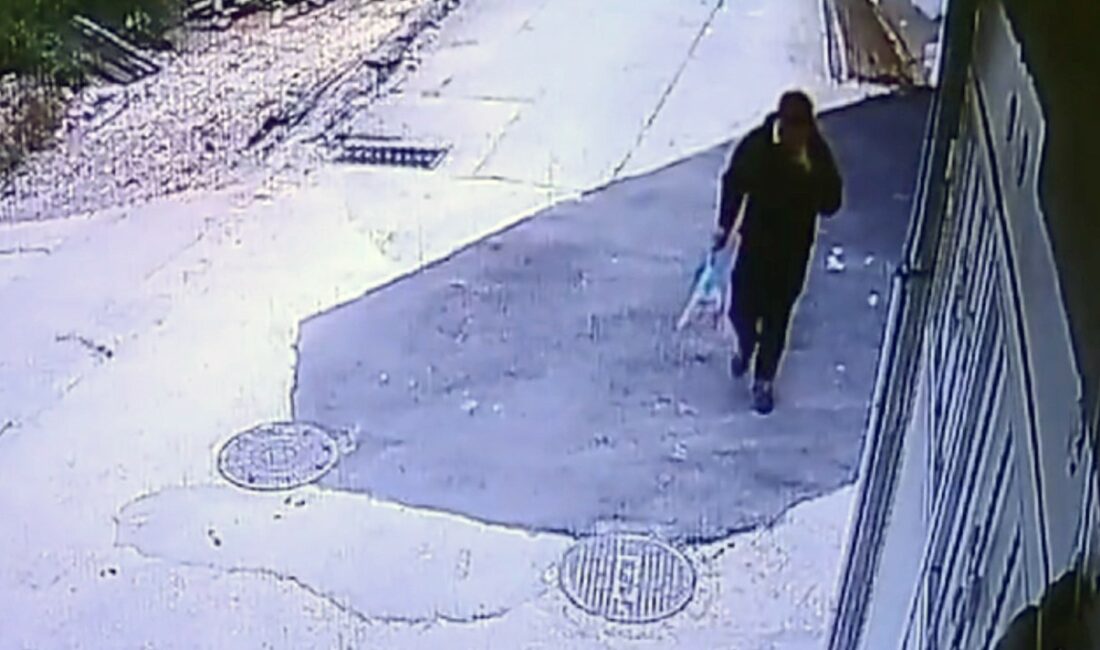 Milyonluk vurgun yapan sahte polis, tarlada mevsimlik işçi çıktı BURSA'DA KENDİSİNİ POLİS OLARAK TANITTIKTAN SONRA SEÇTİĞİ KURBANLARIN İSİMLERİNİN TERÖR