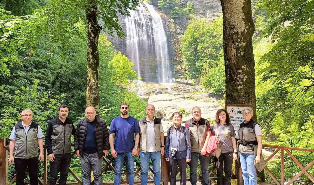 Mustafakemalpaşa ormanları ’Terapi ormanı’ için mercek altında YÜZDE 52’SİNİ ORMANLIK ALANLARIN KAPLADIĞI VE YEŞİL VERİMLİLİĞİN HER YIL