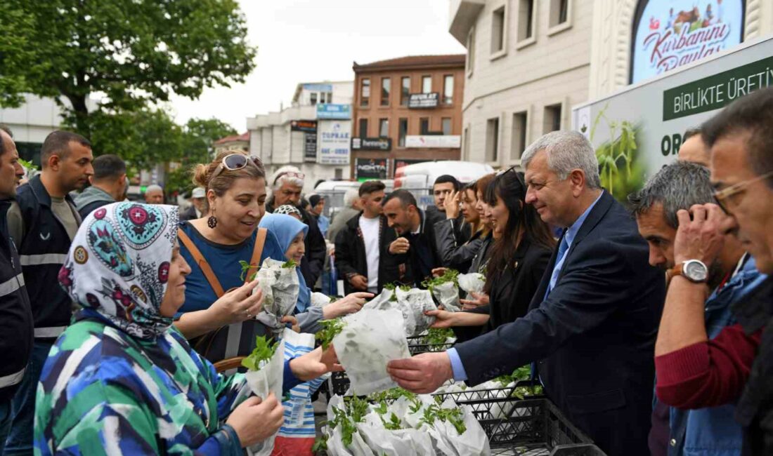 Osmangazi Belediyesi 100 bin fide dağıttı OSMANGAZİ BELEDİYESİ, VATANDAŞLARI BALKON VE TERASLARDA TARIM YAPMAYA TEŞVİK ETMEK