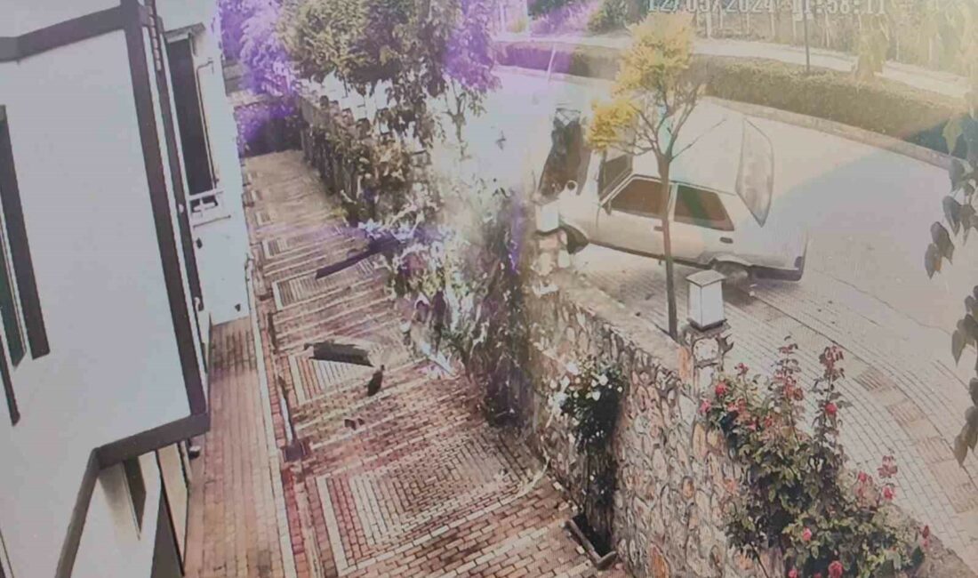 BURSA'NIN İNEGÖL İLÇESİNDE SÜRÜCÜSÜNÜN KONTROLÜNDEN ÇIKAN OTOMOBİL, AĞACA ÇARPIP YAN