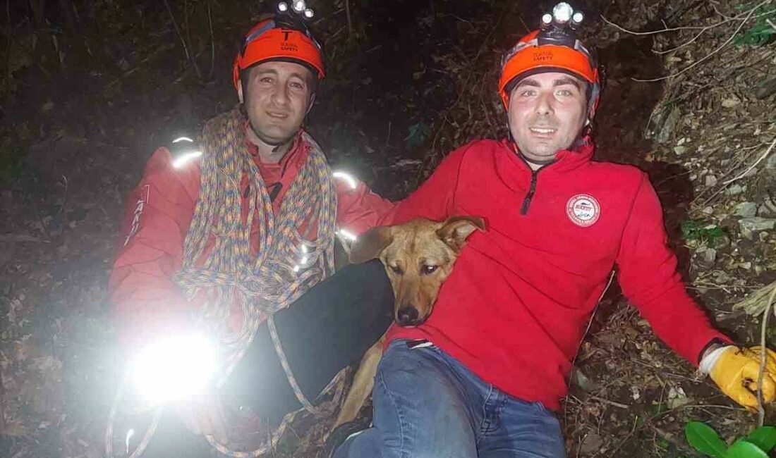 Uludağ’da kayanın üzerinde mahsur kalan köpeğe kurtarma operasyonu ULUDAĞ'DA KAYANIN ÜZERİNDE MAHSUR KALAN KÖPEK, ARAMA KURTARMA EKİBİ BAKUT