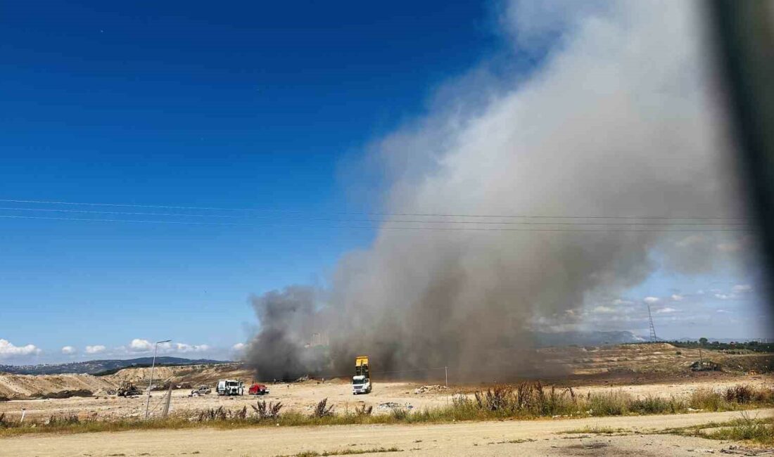 Bursa’da anne köpek dumanların içinde yavrularını aradı BURSA HAMİTLER KENT ÇÖPLÜĞÜNDE ÇIKAN YANGIN, BÜYÜK BİR PANİĞE NEDEN