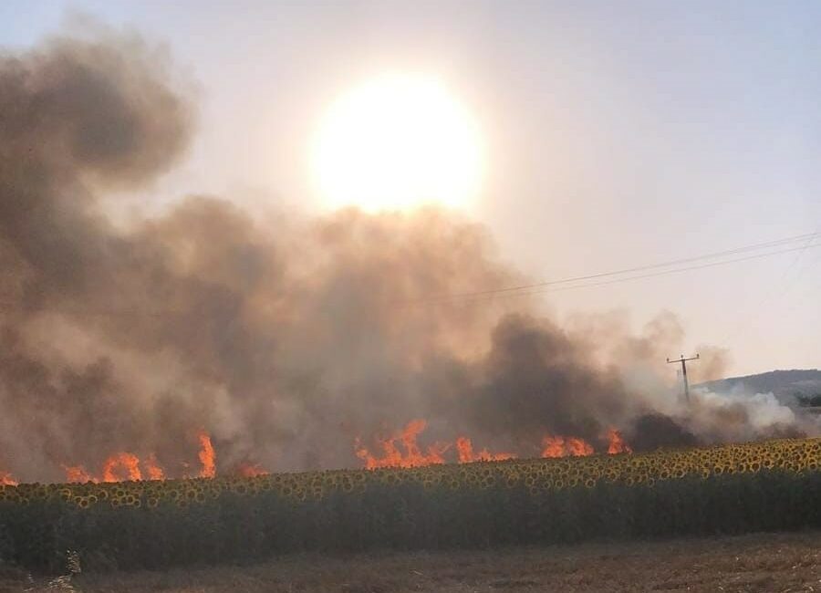 Bursa’da 60 dönüm alan küle döndü BURSA'NIN İNEGÖL İLÇESİNDE ENERJİ NAKİL HATTI KOPUNCA EKİN TARLALARINDA YANGIN