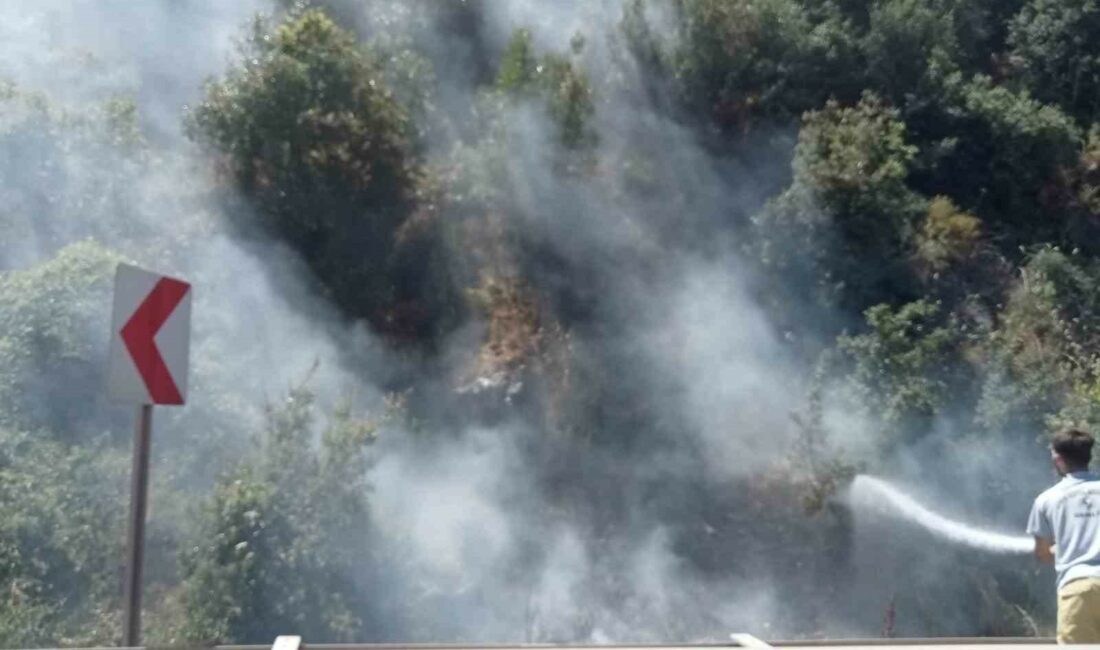 Akli dengesi olmayan vatandaş, ormanı küle çevirecekti BURSA'DA AKLİ DENGESİ OLMADIĞI İDDİA EDİLEN KİŞİNİN ATEŞE VERDİĞİ ÇALILAR,