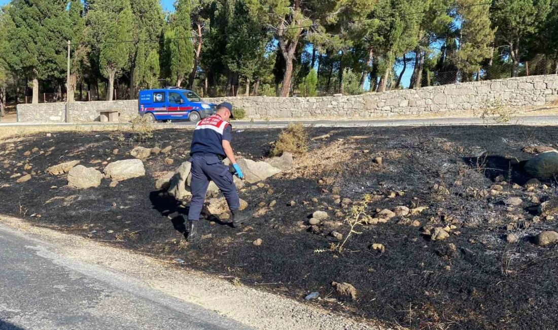 Ayvacık’ta yangının ilk çıktığı noktada jandarma incelemelerde bulundu AYVACIK’TA YANGININ İLK ÇIKTIĞI NOKTADA JANDARMA İNCELEMELERDE BULUNDU
