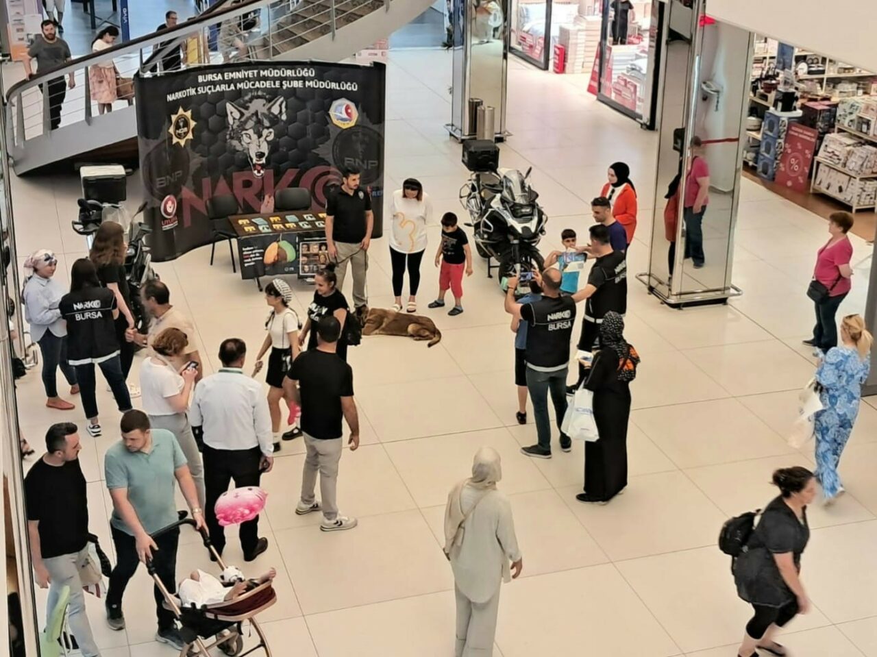 NARKOTİK SUÇLARLA MÜCADELE ŞUBE MÜDÜRLÜĞÜNCE "NARKONOKTA" VE "EN İYİ NARKOTİK