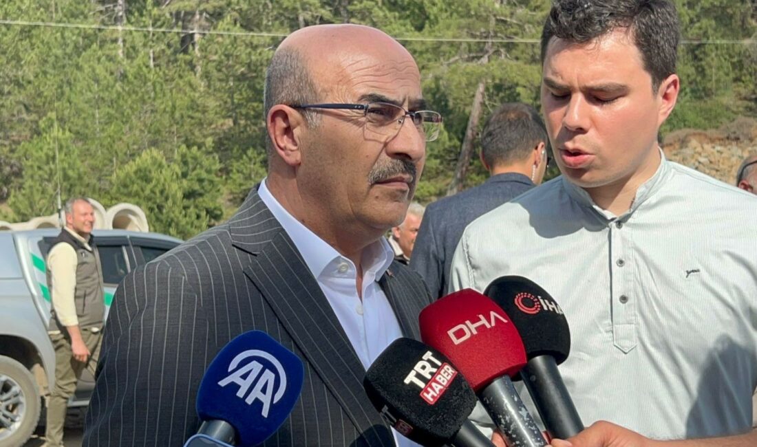 Bursa Valisi açıkladı: 100 hektar orman alanı yandı BURSA VALİSİ MAHMUT DEMİRTAŞ ORHANELİ İLÇESİNİN TOPUK MAHALLESİ MEVKİİNDE ÇIKAN