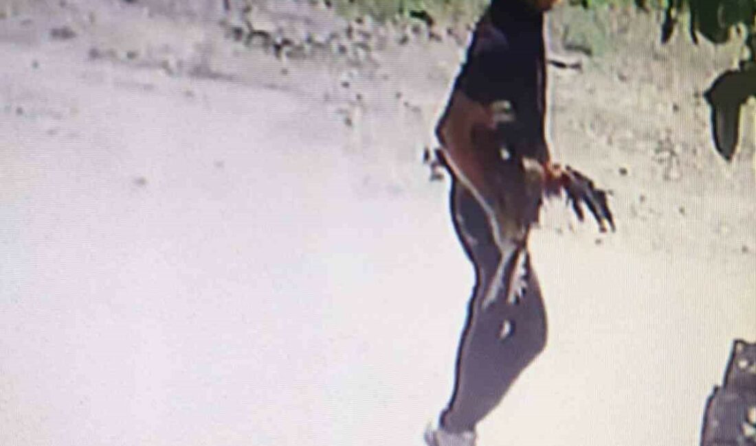 Bursa’da horoz hırsızı kamerada BURSA’DA HOROZ HIRSIZI KAMERADA