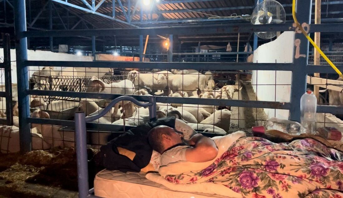 BURSA’DA KOYUN KOYUNA KURBAN NÖBETİ