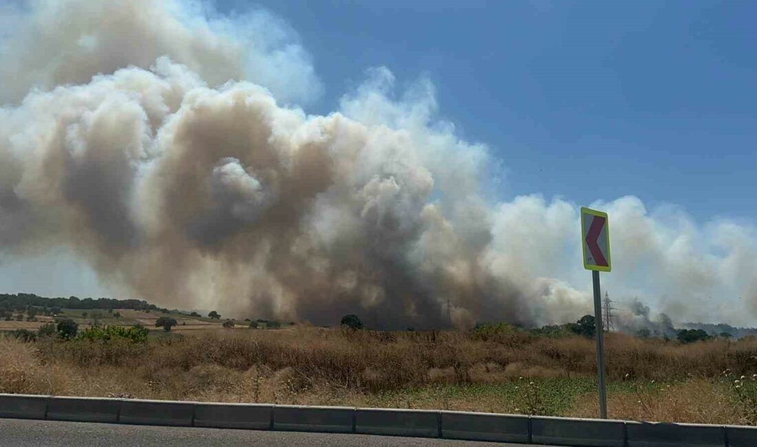 BURSA'NIN NİLÜFER İLÇESİNE BAĞLI YOLÇATI MAHALLESİ'NDE MAKİLİK ALANDA YANGIN ÇIKTI.