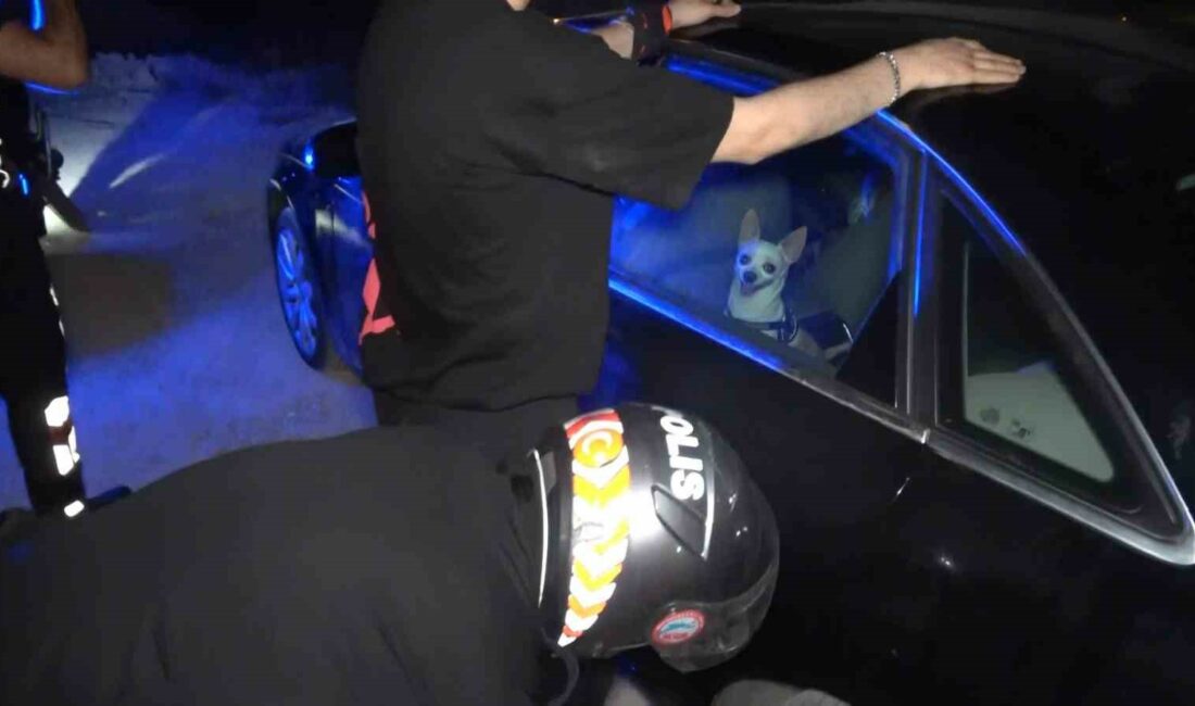 Bursa’da Özlüce Tepe ve Dağ Yolu’na polis baskını BURSA İL EMNİYET MÜDÜRLÜĞÜ'NE BAĞLI YUNUS TİMLERİ, ŞEHİR MERKEZİNDE DURAKLAMASI