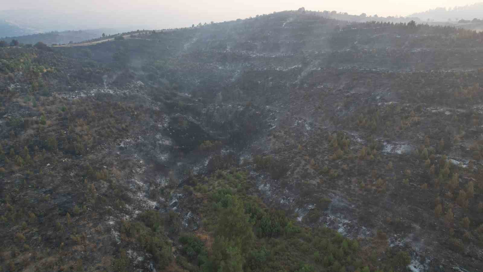 BURSA'NIN BÜYÜKORHAN İLÇESİNDE ORMANLIK ALANDA ÇIKAN YANGIN GÜNÜN İLK IŞIKLARINDA