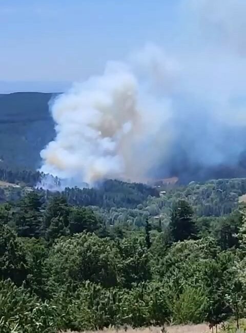 Bursa’nın dağ ilçesinde orman yangını BURSA'NIN DAĞ İLÇELERİNDEN BİRİ OLAN KELES İLÇESİNE BAĞLI BARAKLI MAHALLESİ