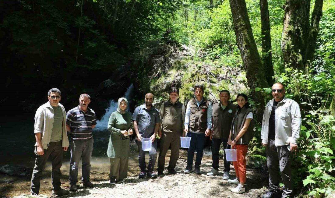 Bursa’nın iç sularına 12 bin alabalık salımı yapıldı TARIM VE ORMAN BAKANLIĞI, DOĞA KORUMA VE MİLLİ PARKLAR GENEL