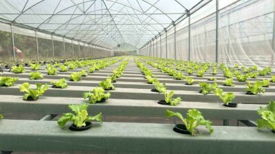 AFRİKA KITASINDA BULUNAN KONGO DEMOKRATİK CUMHURİYETİ'NDE BURSA'NIN KALİTELİ ÜRÜNLERİ ÖZEL