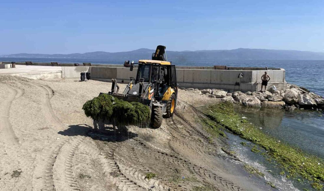 Büyükşehir’den yoğun bayram mesaisi BURSA BÜYÜKŞEHİR BELEDİYESİ, TARIM PEYZAJ AŞ MARİFETİYLE KURBAN BAYRAMI TATİLİ