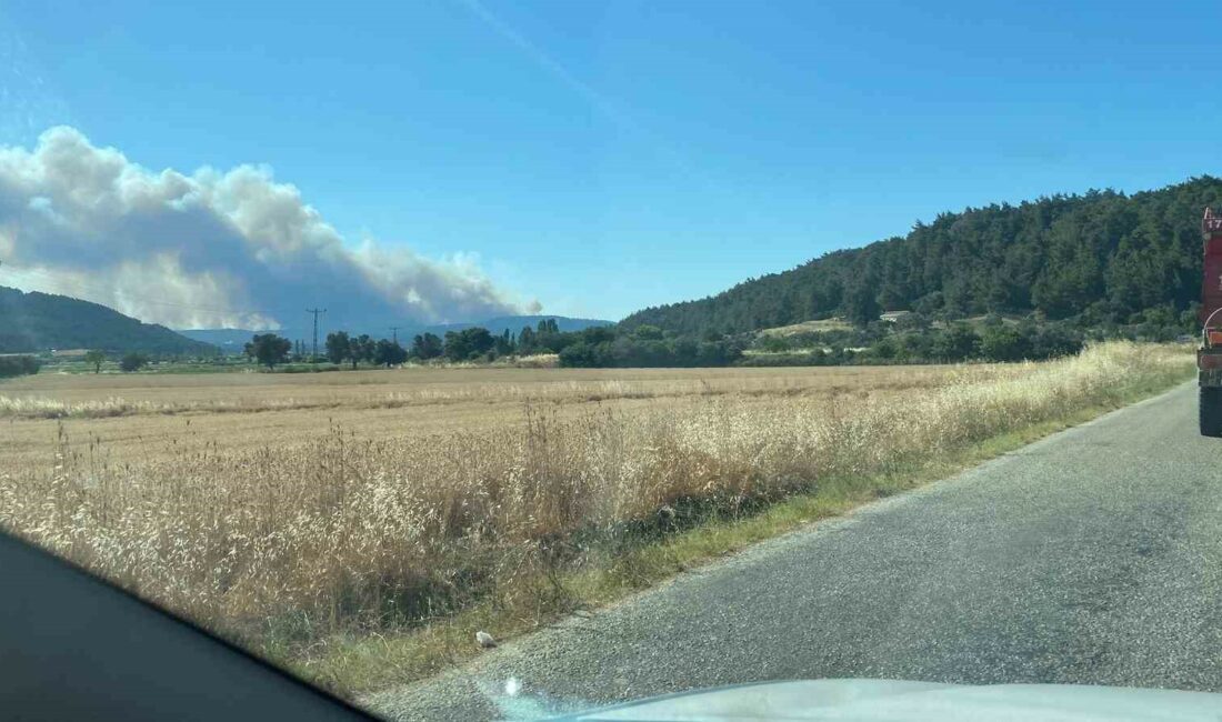 ÇANAKKALE'NİN ECEABAT İLÇESİNDE ORMANLIK ALANDA YANGIN DOLAYISIYLA ANAFARTALAR KÖYÜ BOŞALTILDI.