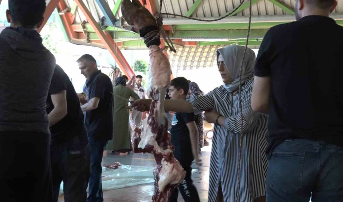 Erkekleri aratmayan kadın kasaplar KURBAN BAYRAMI’NIN İLK GÜNÜNDE BURSA’DA KURBAN KESİM YERLERİ DOLDU, TAŞTI.