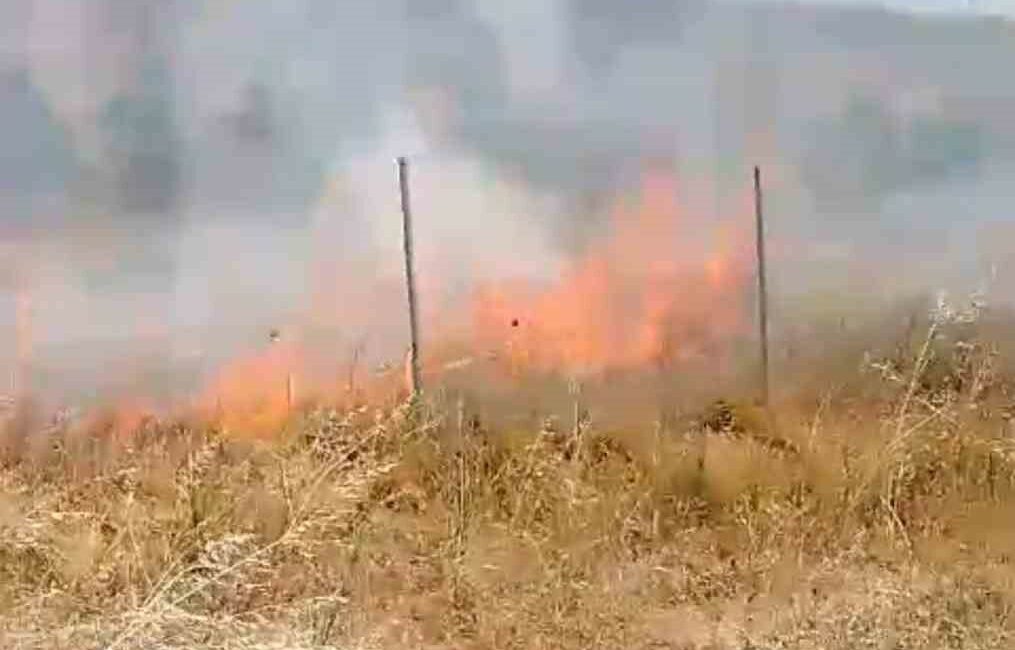 Gemlik’te çalılık yangını korkuttu BURSA'NIN GEMLİK İLÇESİNDE ÇIKAN ÇALILIK YANGINI SÖNDÜRÜLDÜ.