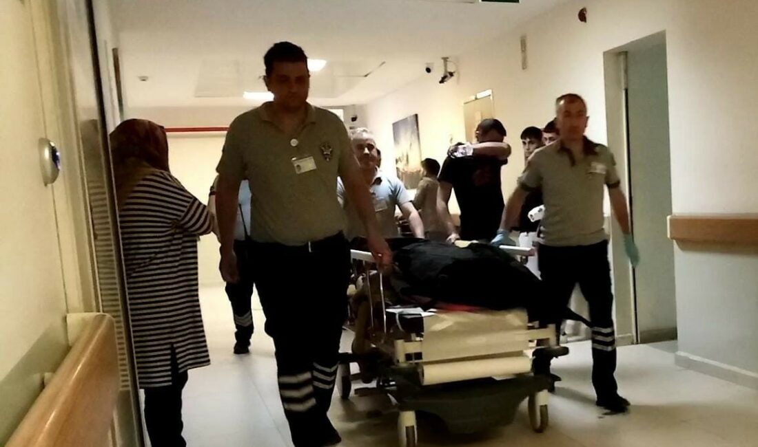 BURSA'NIN İNEGÖL İLÇESİNDE IHLAMUR AĞACINDAN DÜŞEN ADAM AĞIR YARALI OLARAK