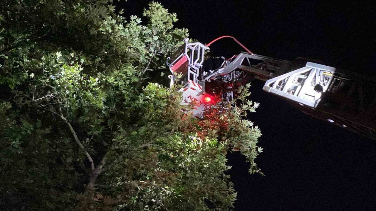 İNEGÖL'DE KESER OPERASYONU