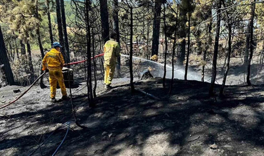 BURSA'NIN KELES İLÇESİ BARAKLI MAHALLESİ YAKINLARINDAKİ ORMANLIK ALANDA BAŞLAYAN YANGINA,