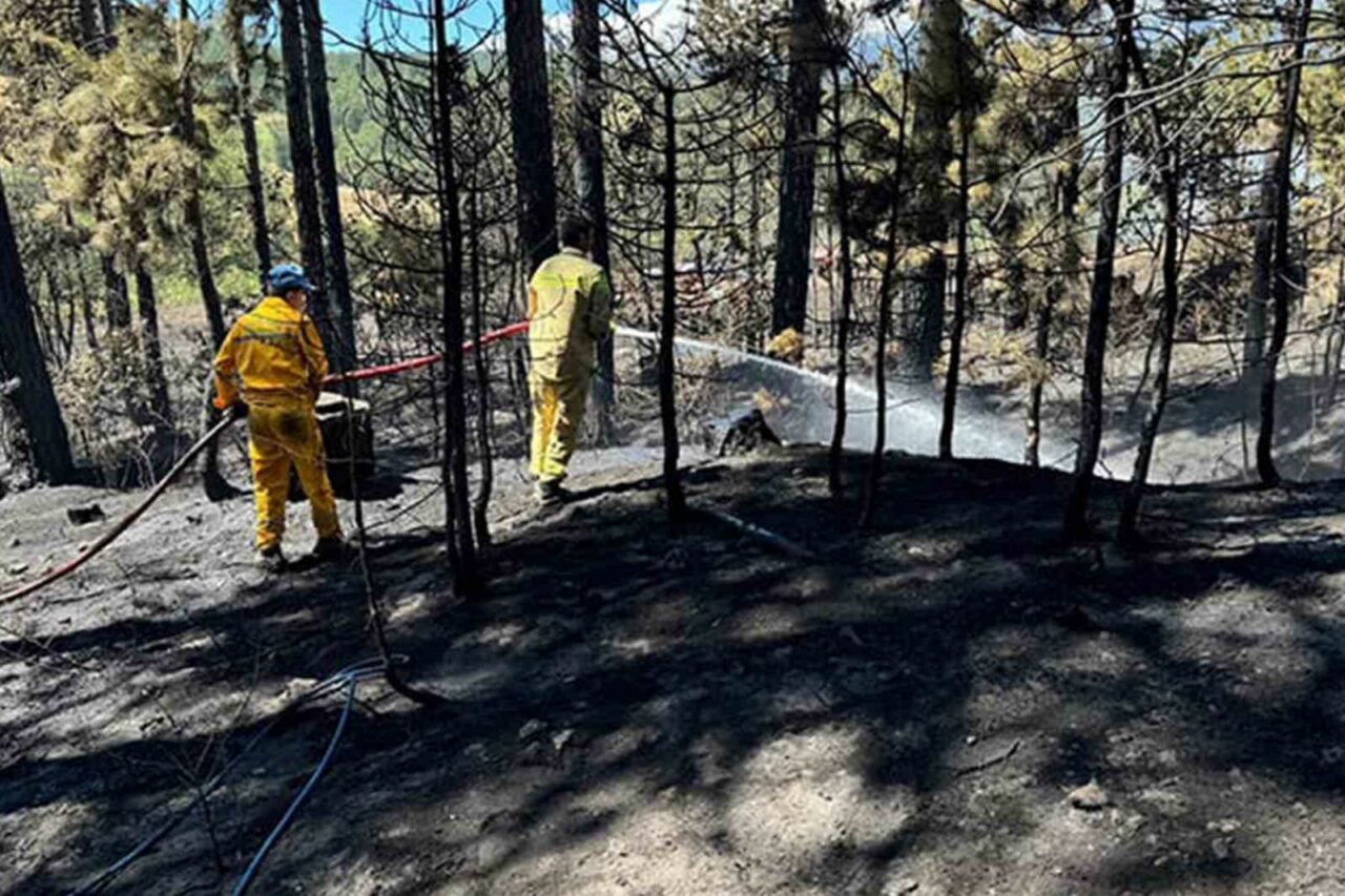 BURSA'NIN KELES İLÇESİ BARAKLI MAHALLESİ YAKINLARINDAKİ ORMANLIK ALANDA BAŞLAYAN YANGINA,