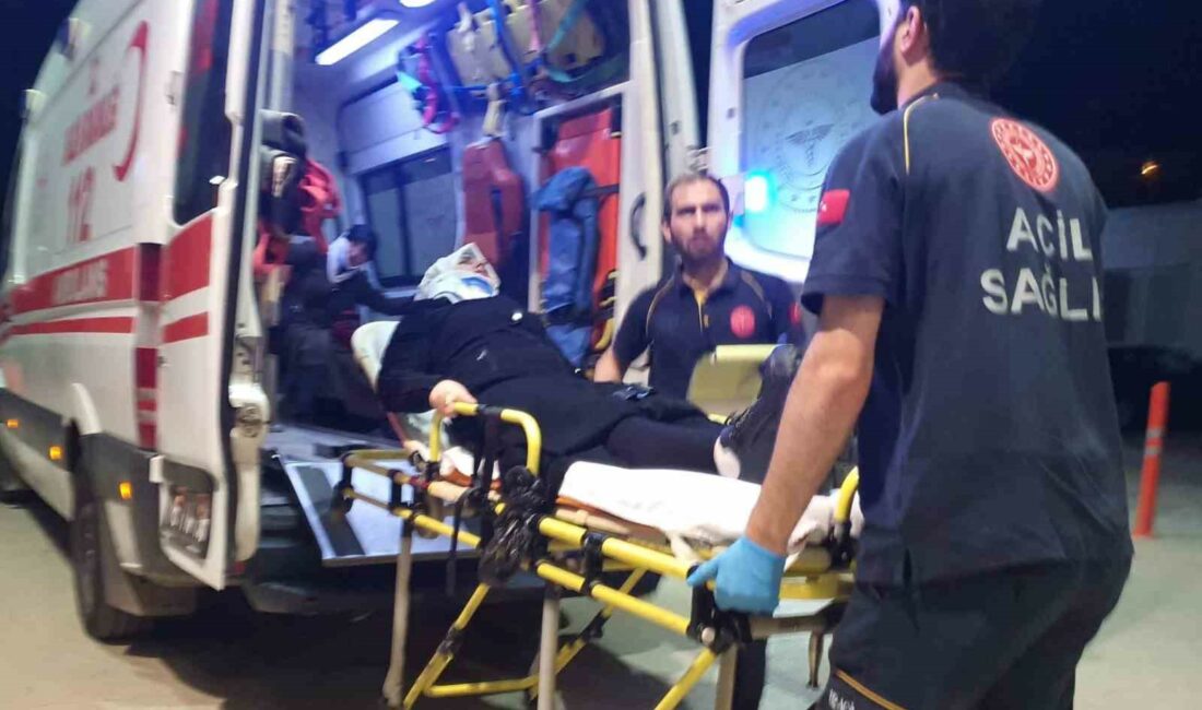 Kontrolden çıkan otomobil direğe çarptı: 5 yaralı KONTROLDEN ÇIKAN OTOMOBİL DİREĞE ÇARPTI : 5 YARALI