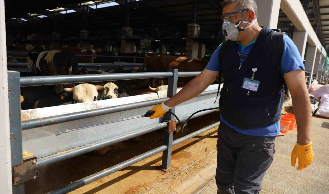 Kurban pazarlarında sinekle mücadele sürüyor BURSA BÜYÜKŞEHİR BELEDİYESİ SAĞLIK İŞLERİ DAİRE BAŞKANLIĞI EKİPLERİ, 17 İLÇEDE